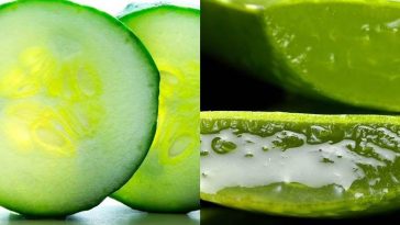 Aloe vera gel and cucumber mask for face