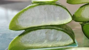 Aloe Vera Skin Whitening mask recipes and benefits