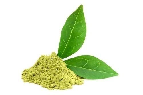 Green Tea Powder and Honey Face Mask
