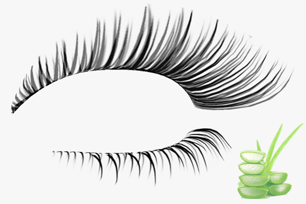 aloe vera gel for eyelash