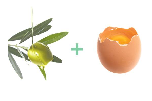 egg olive oil hair mask