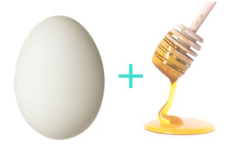 honey and egg hair mask natural diy recipes