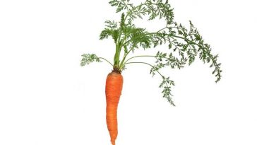 carrot for hair growth and hair mask recipes and benefits