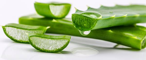 How to Use Aloe Vera Gel as a Leave-In Conditioner