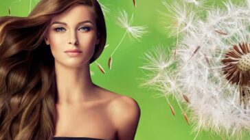 Benefits of Dandelion for Hair