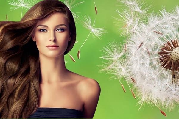 Benefits of Dandelion for Hair