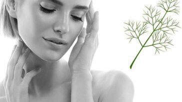 Benefits of Dill for Skin