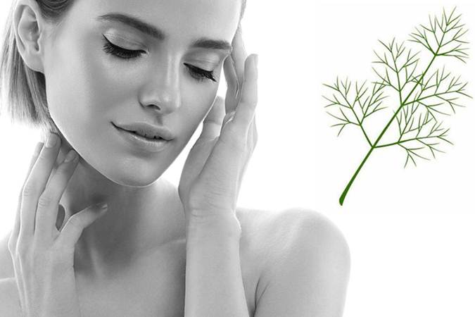 Benefits of Dill for Skin