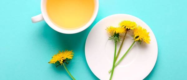 Dandelion Uses for Hair Care